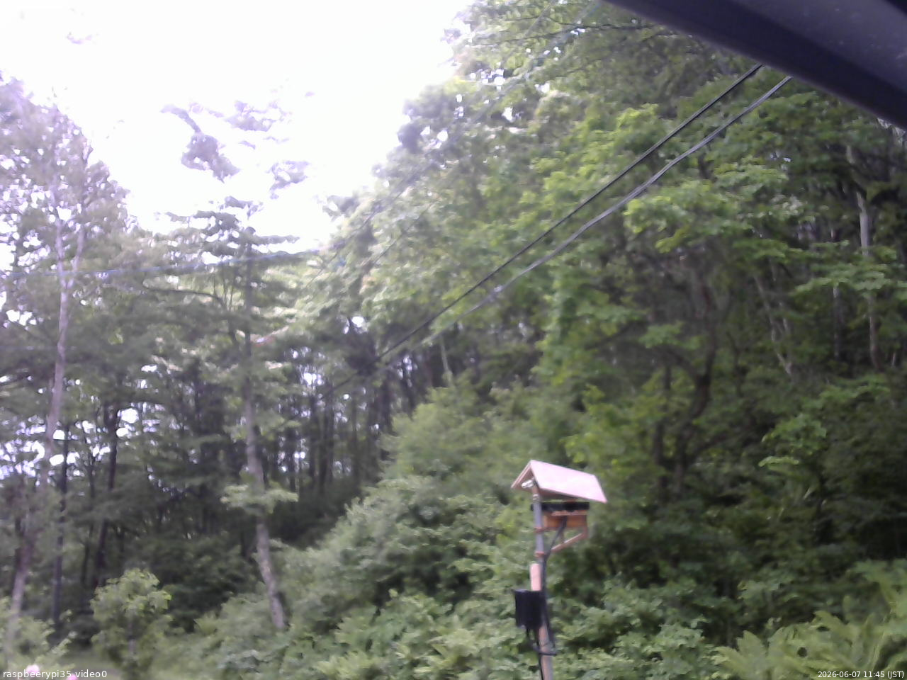 長野県菅平高原 ゆたか山荘 温度計 2026/06/07 11:45