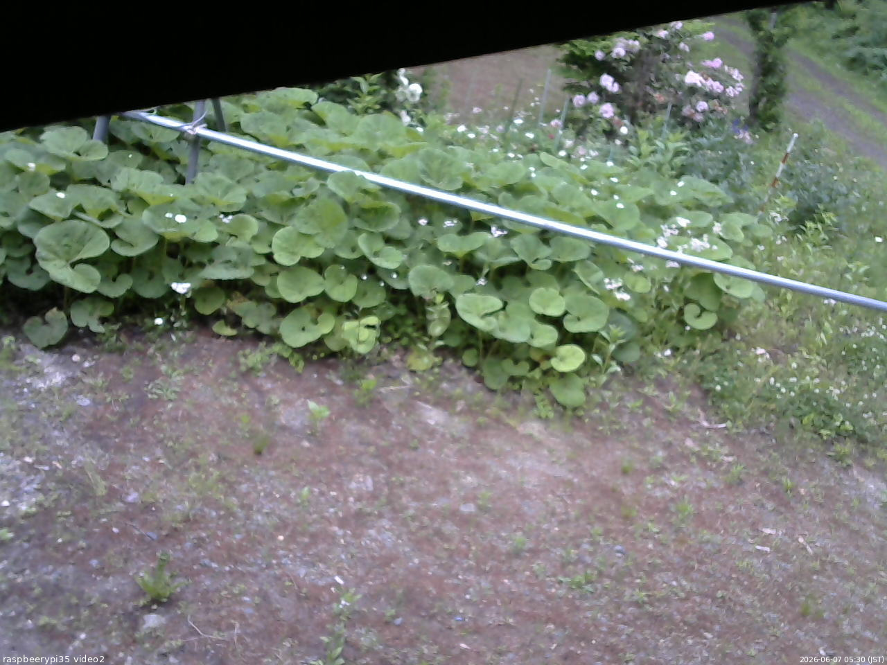 長野県菅平高原 ゆたか山荘 駐車場 2026/06/07 05:30