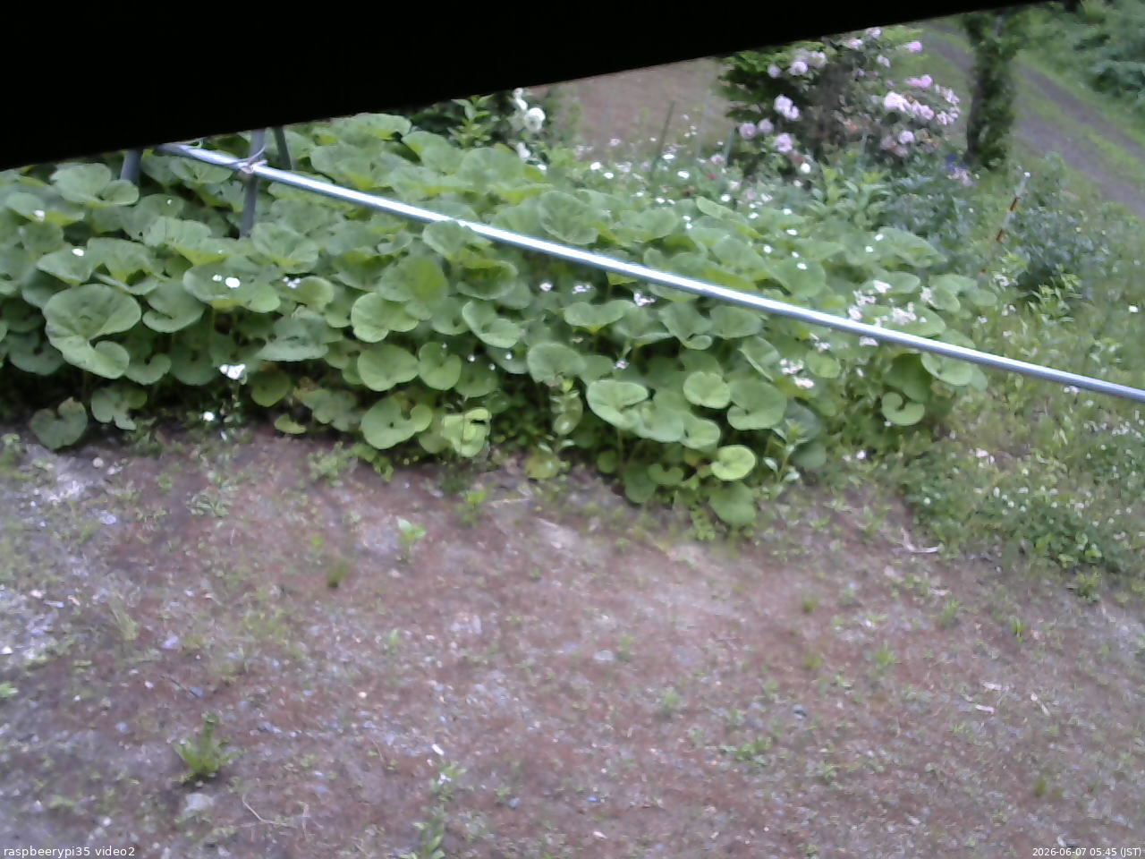 長野県菅平高原 ゆたか山荘 駐車場 2026/06/07 05:45