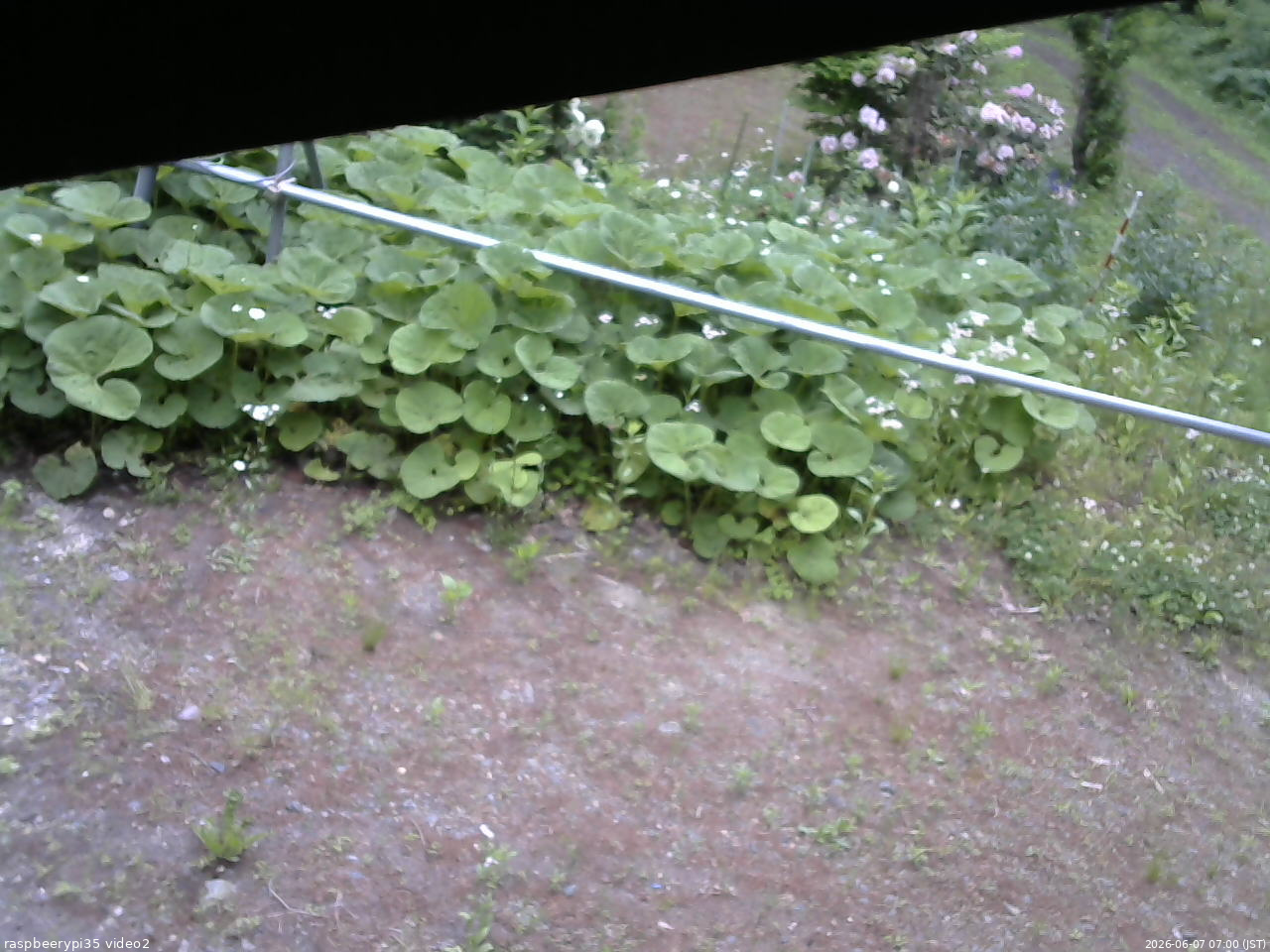 長野県菅平高原 ゆたか山荘 駐車場 2026/06/07 07:00