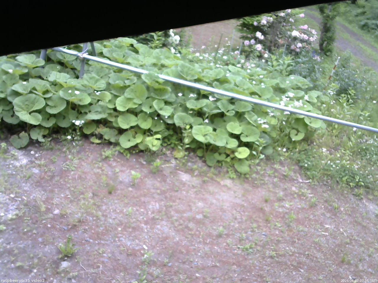 長野県菅平高原 ゆたか山荘 駐車場 2026/06/07 07:15