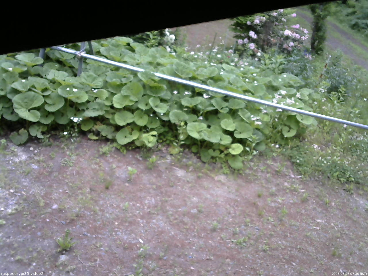 長野県菅平高原 ゆたか山荘 駐車場 2026/06/07 07:30