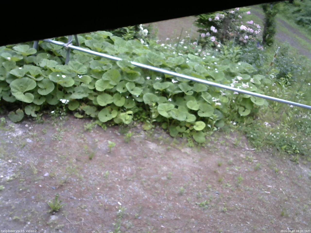 長野県菅平高原 ゆたか山荘 駐車場 2026/06/07 08:00