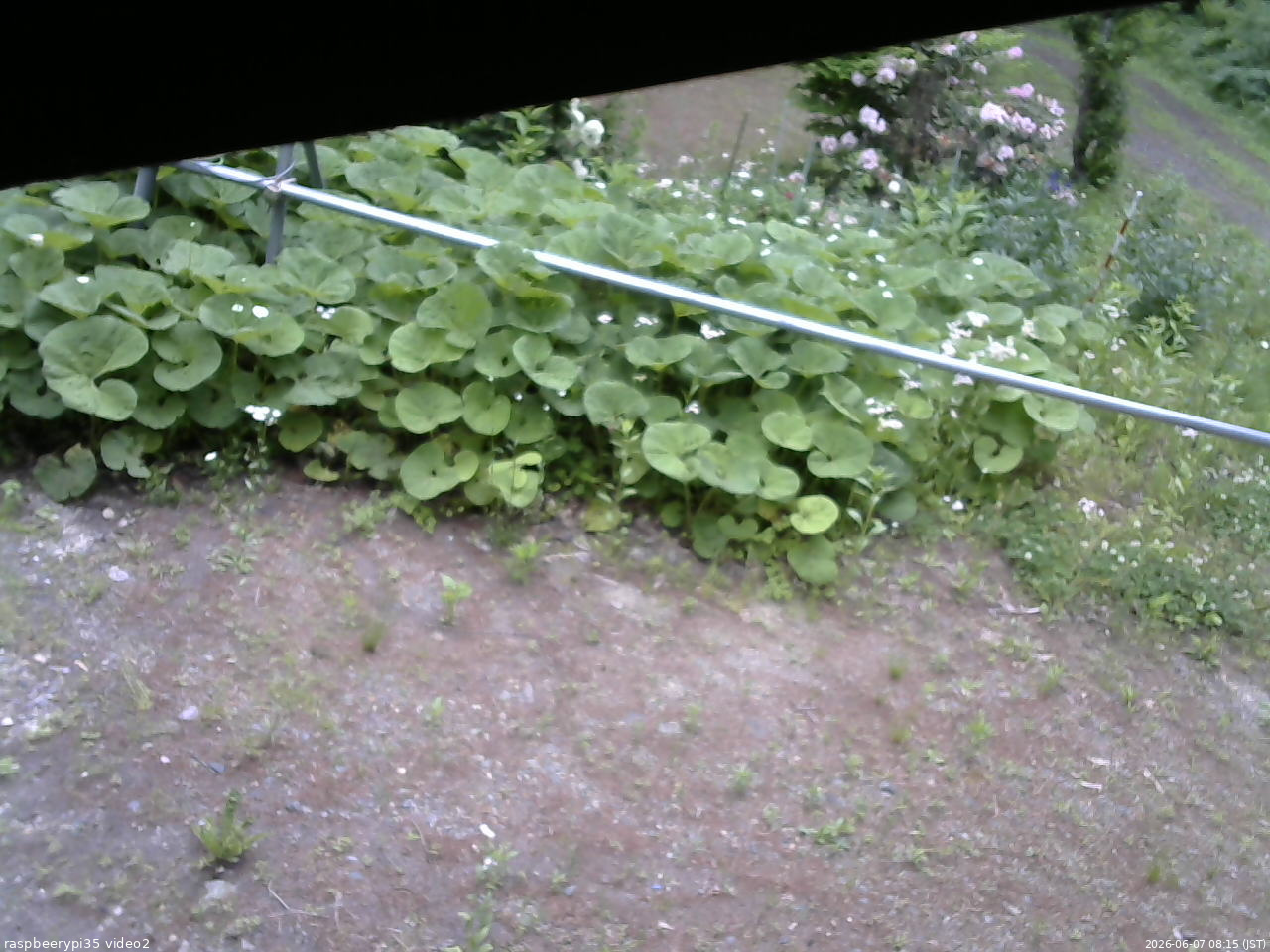 長野県菅平高原 ゆたか山荘 駐車場 2026/06/07 08:15