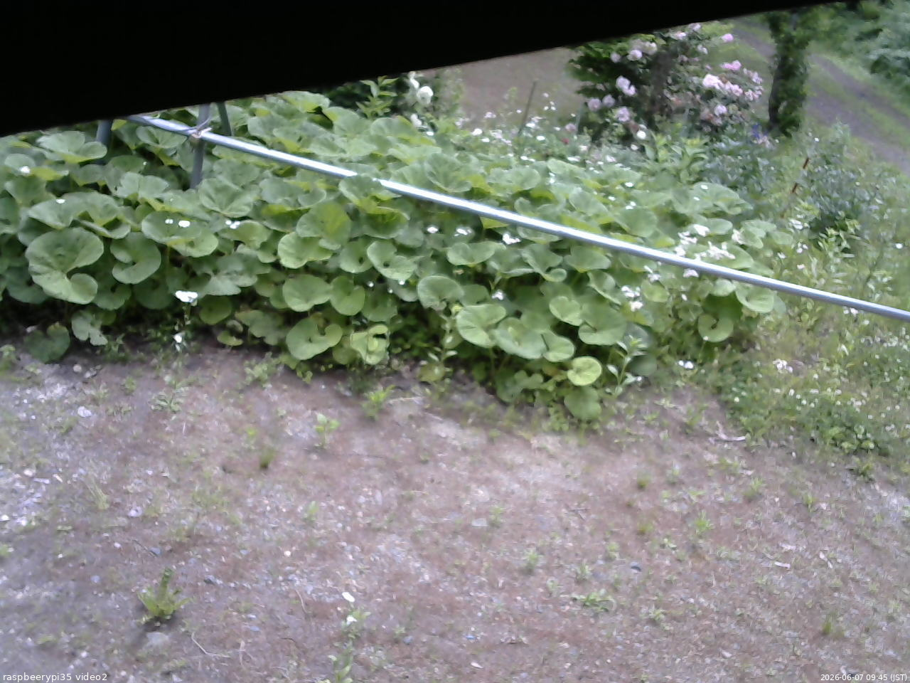 長野県菅平高原 ゆたか山荘 駐車場 2026/06/07 09:45