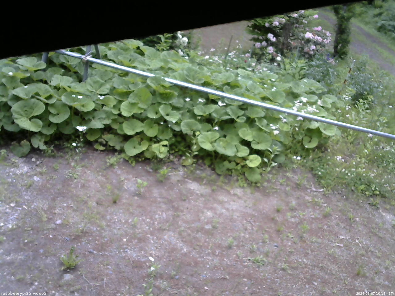 長野県菅平高原 ゆたか山荘 駐車場 2026/06/07 10:15