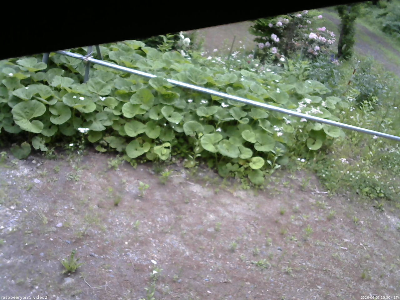 長野県菅平高原 ゆたか山荘 駐車場 2026/06/07 10:30