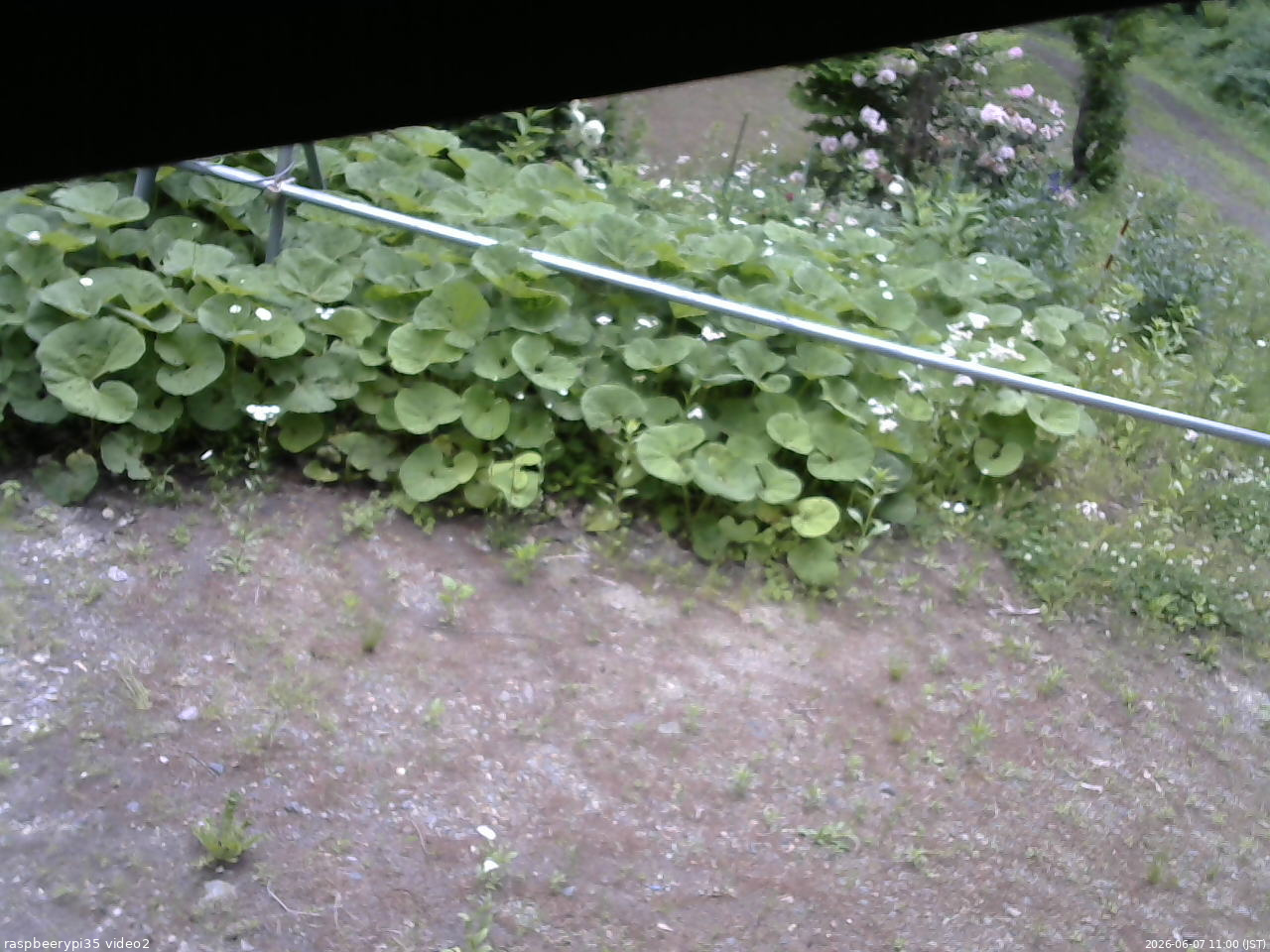 長野県菅平高原 ゆたか山荘 駐車場 2026/06/07 11:00