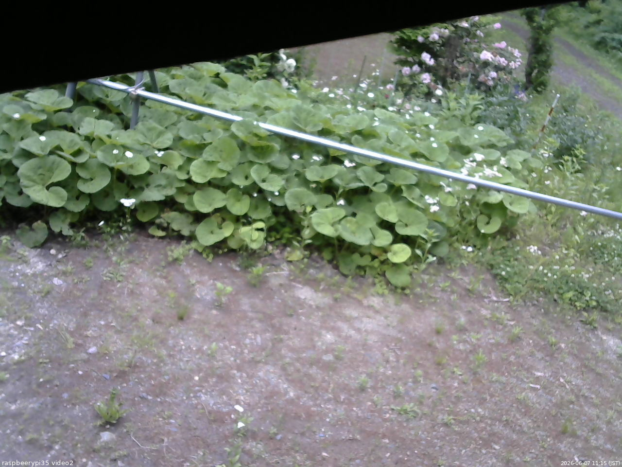 長野県菅平高原 ゆたか山荘 駐車場 2026/06/07 11:15