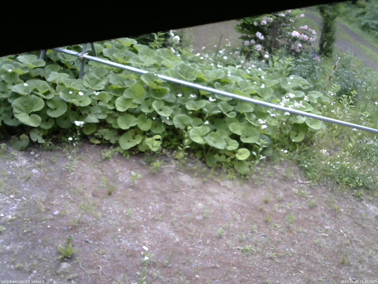 長野県菅平高原 ゆたか山荘 駐車場 2026/06/07 11:45