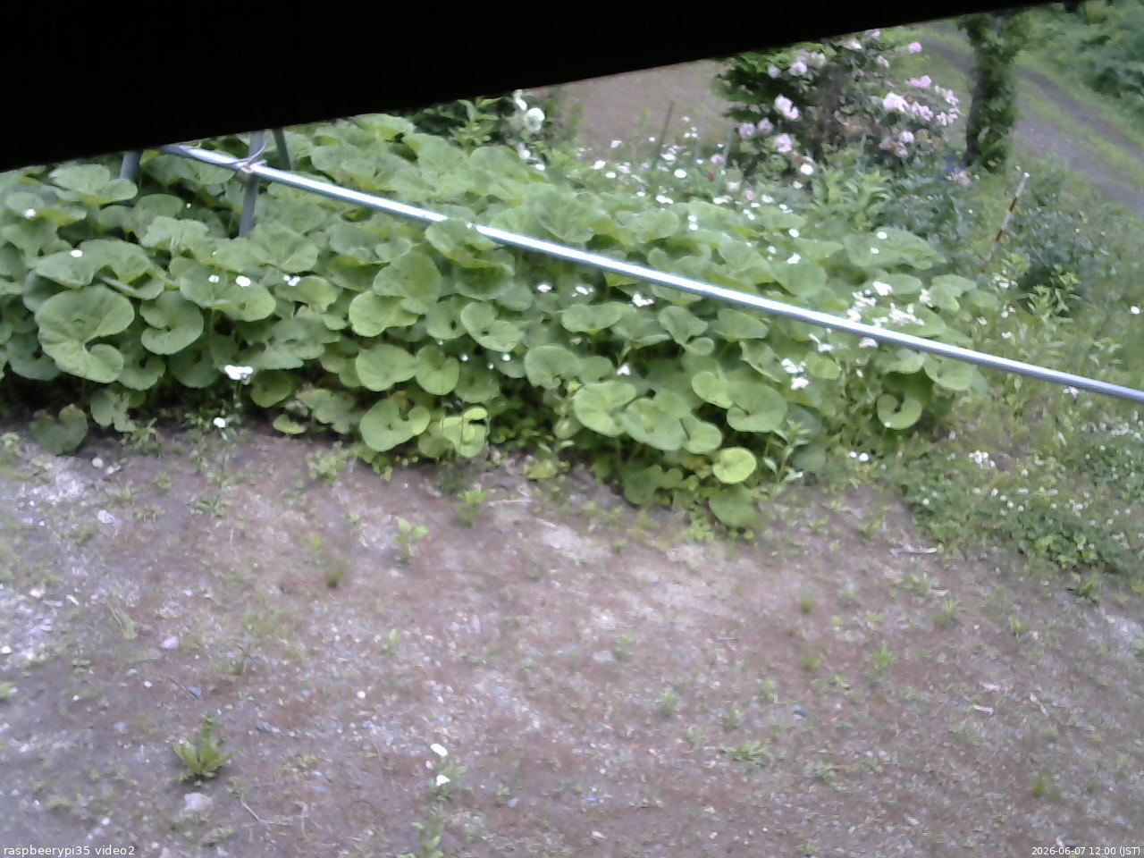 長野県菅平高原 ゆたか山荘 駐車場 2026/06/07 12:00