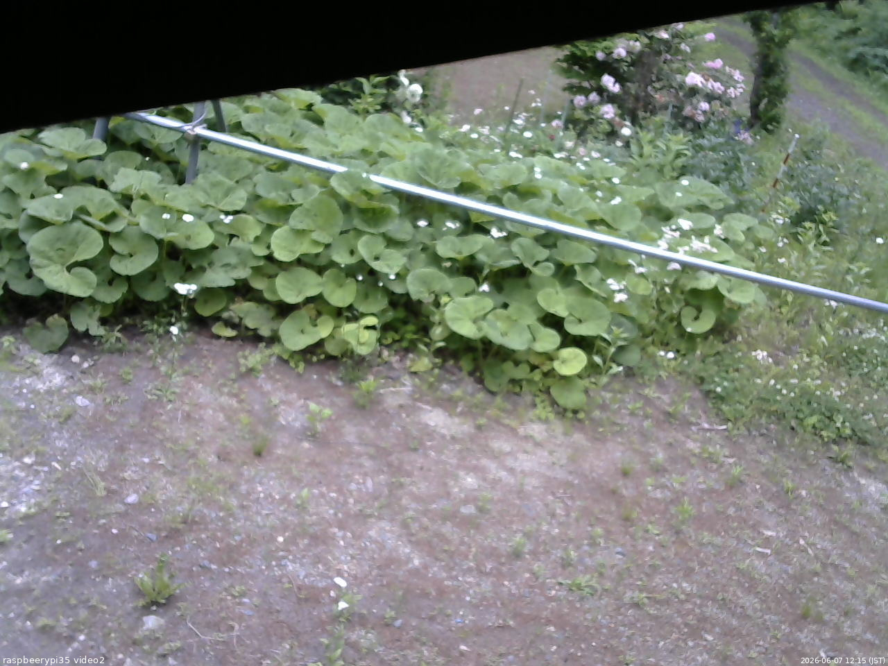 長野県菅平高原 ゆたか山荘 駐車場 2026/06/07 12:15