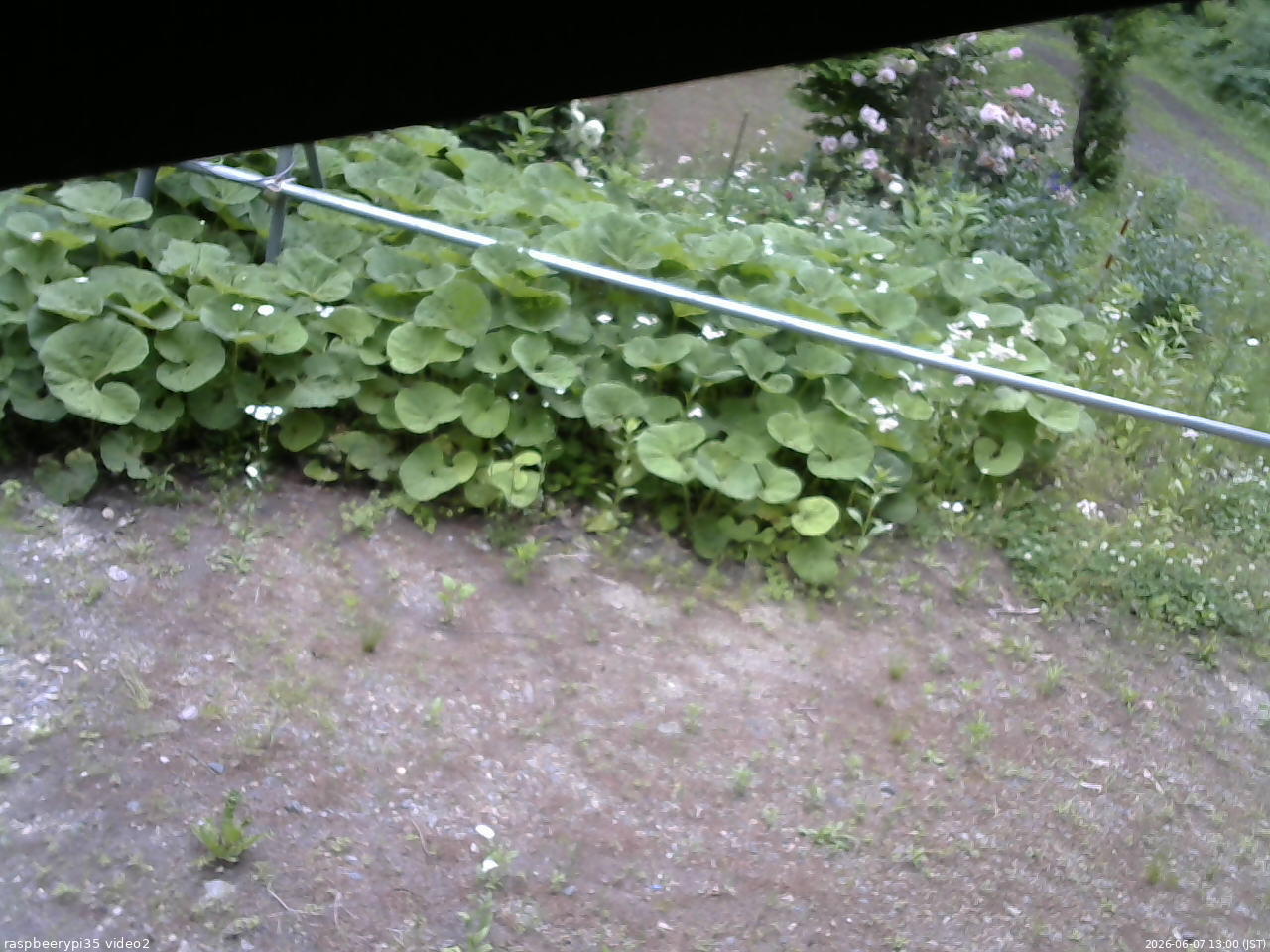 長野県菅平高原 ゆたか山荘 駐車場 2026/06/07 13:00