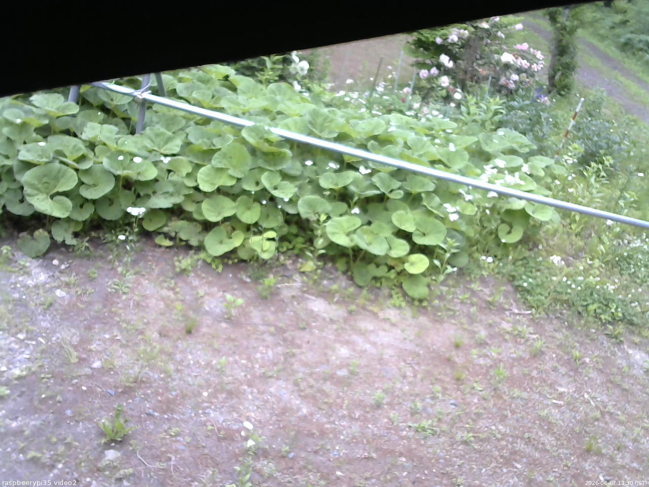 長野県菅平高原 ゆたか山荘 駐車場 2026/06/07 13:30