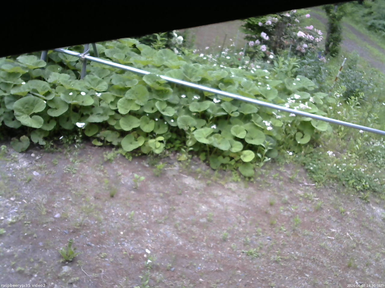 長野県菅平高原 ゆたか山荘 駐車場 2026/06/07 14:30