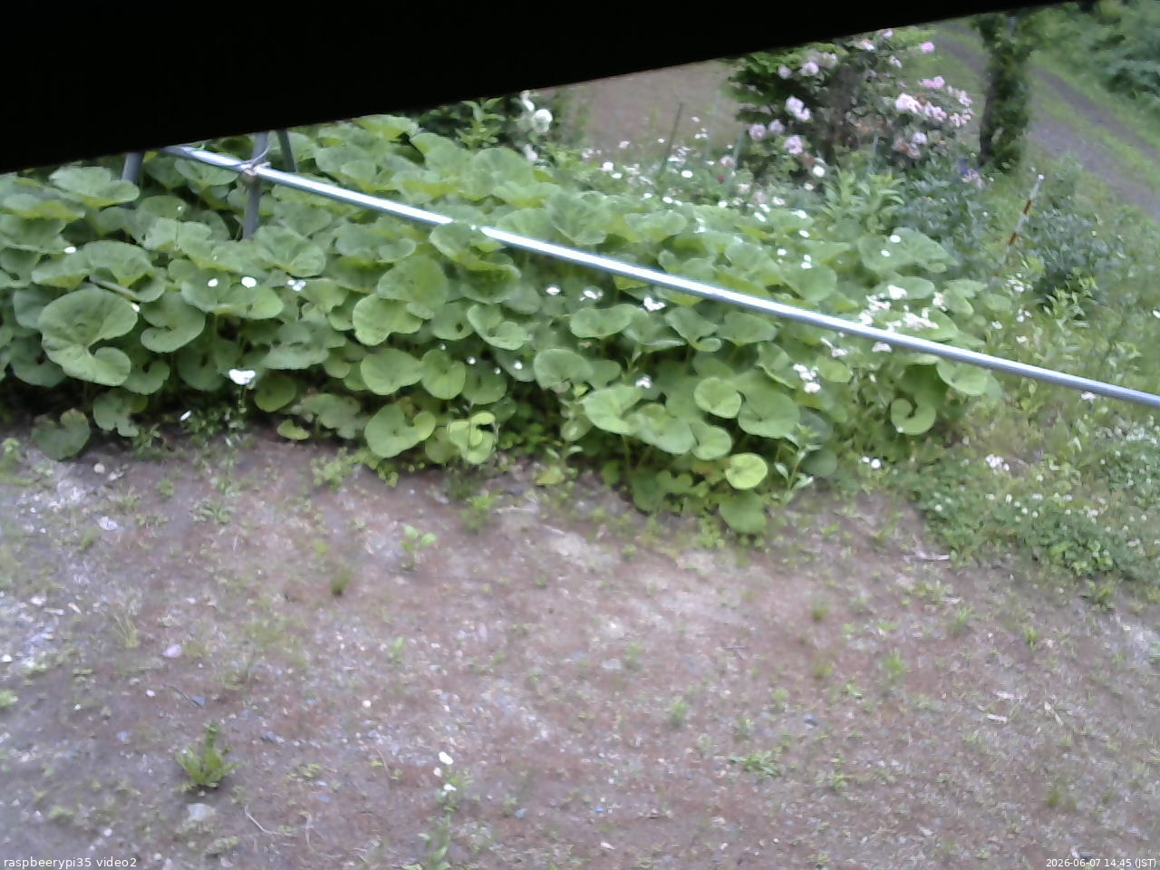 長野県菅平高原 ゆたか山荘 駐車場 2026/06/07 14:45