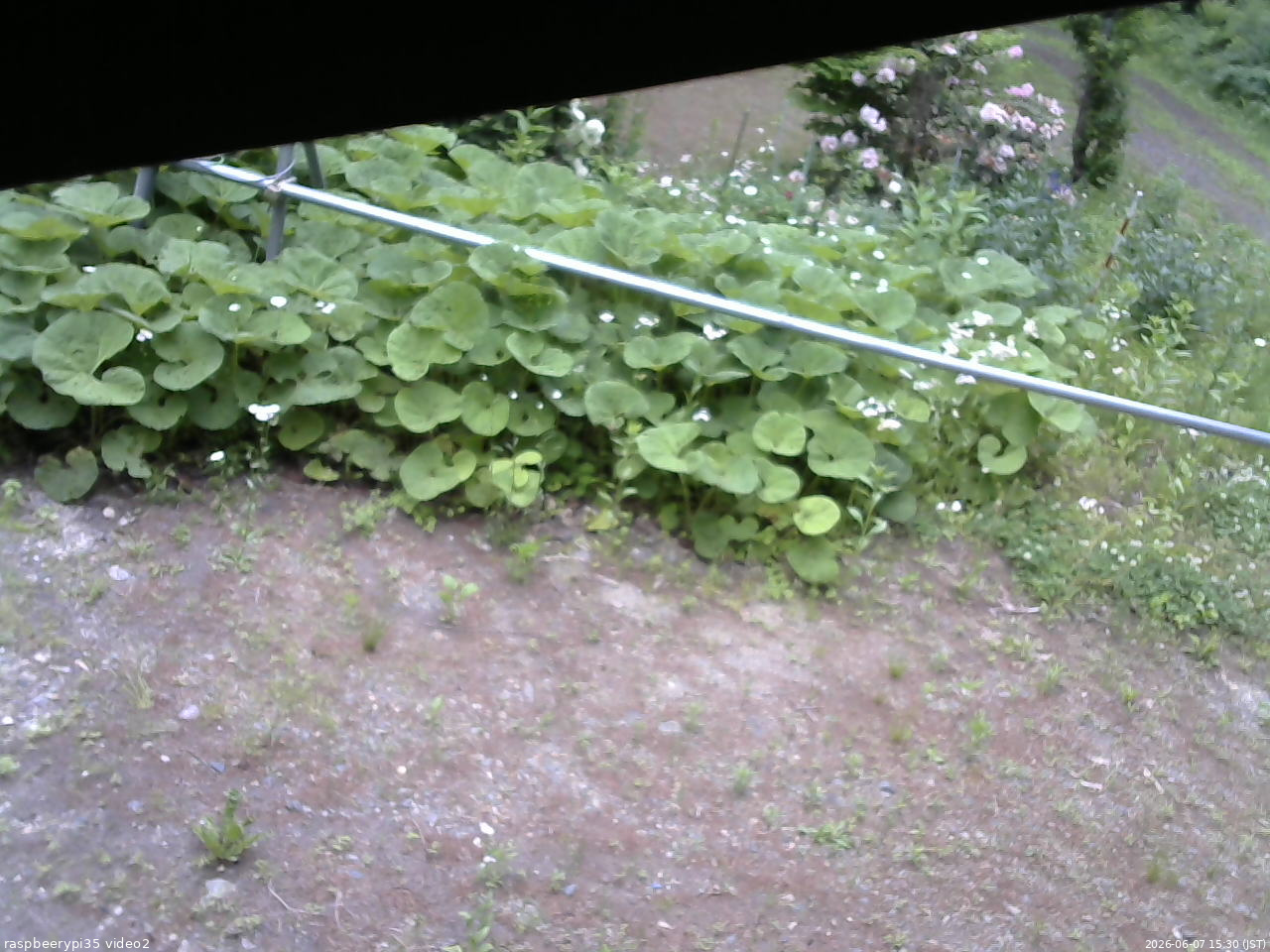 長野県菅平高原 ゆたか山荘 駐車場 2026/06/07 15:30