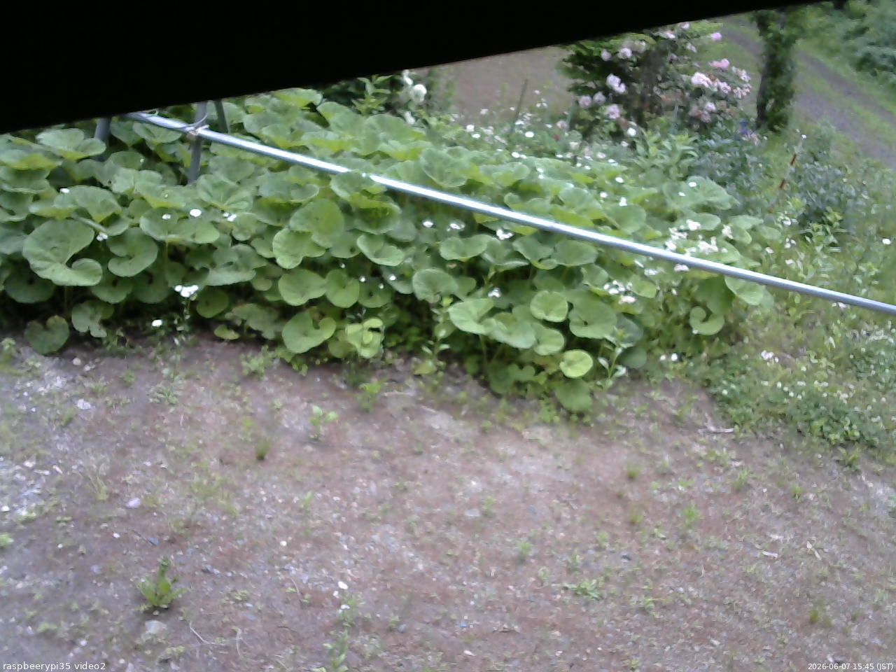 長野県菅平高原 ゆたか山荘 駐車場 2026/06/07 15:45