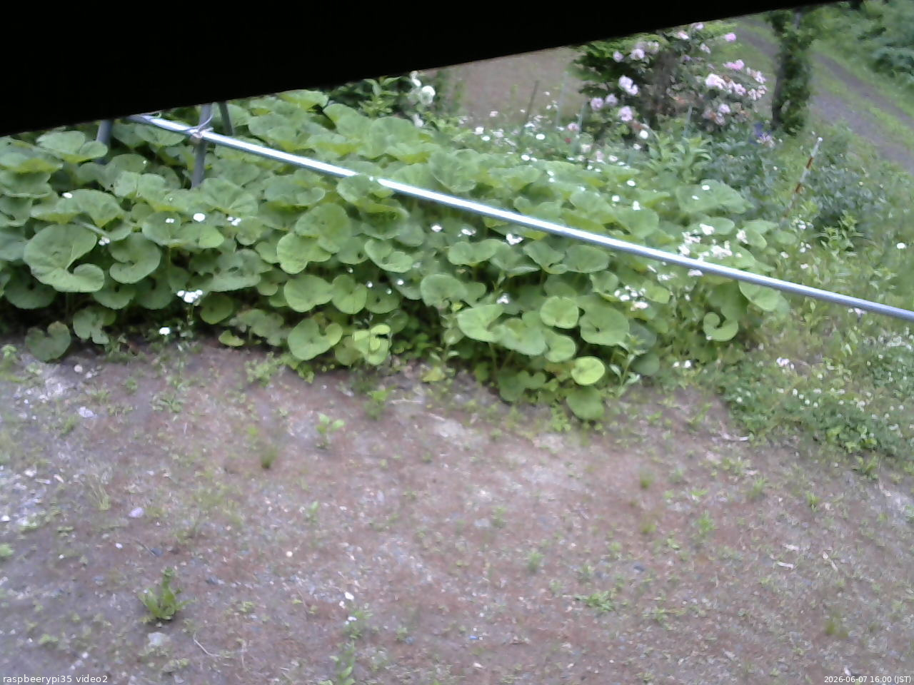 長野県菅平高原 ゆたか山荘 駐車場 2026/06/07 16:00