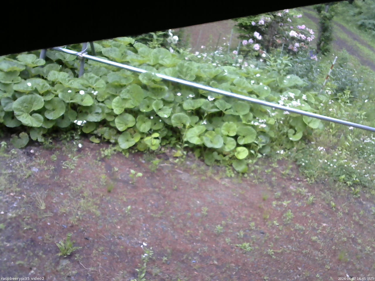 長野県菅平高原 ゆたか山荘 駐車場 2026/06/07 16:45