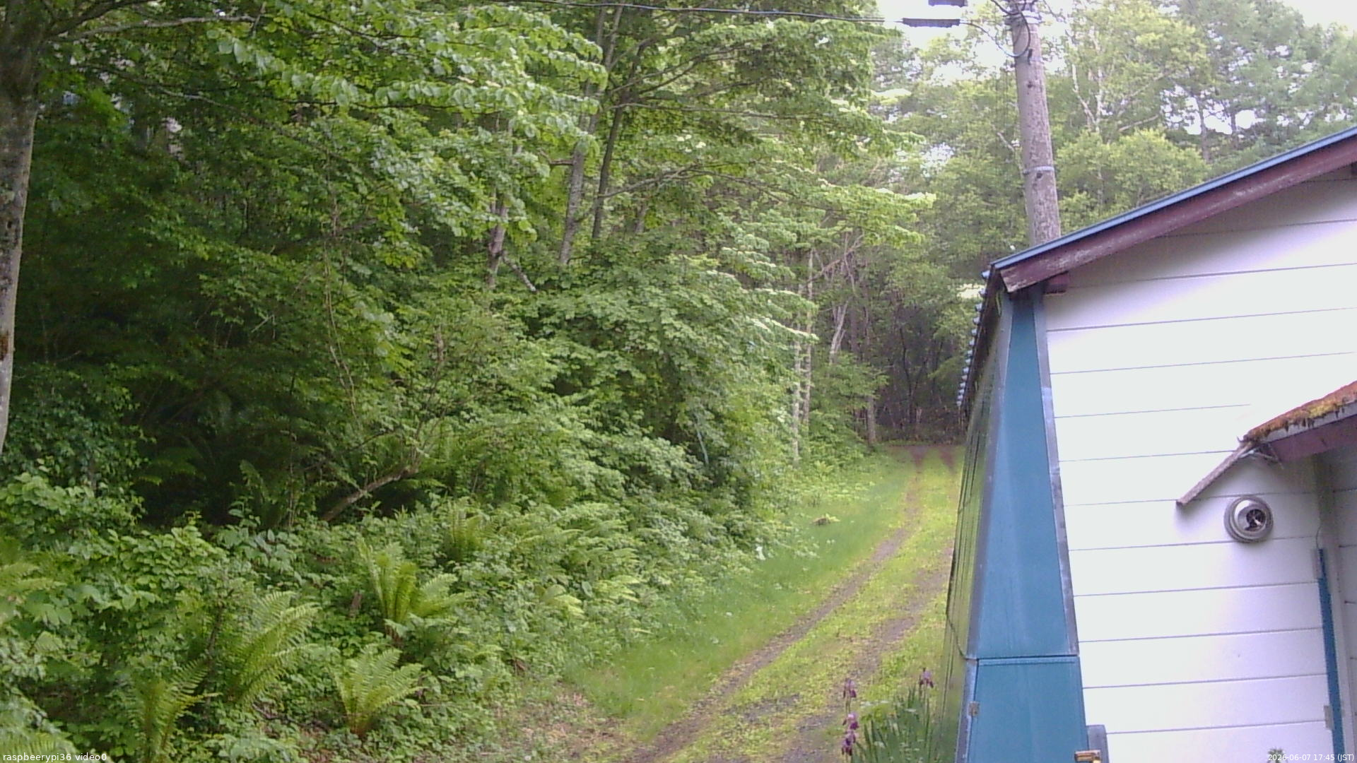 長野県菅平高原 ゆたか山荘 ゆたか山荘 2026/06/07 17:45