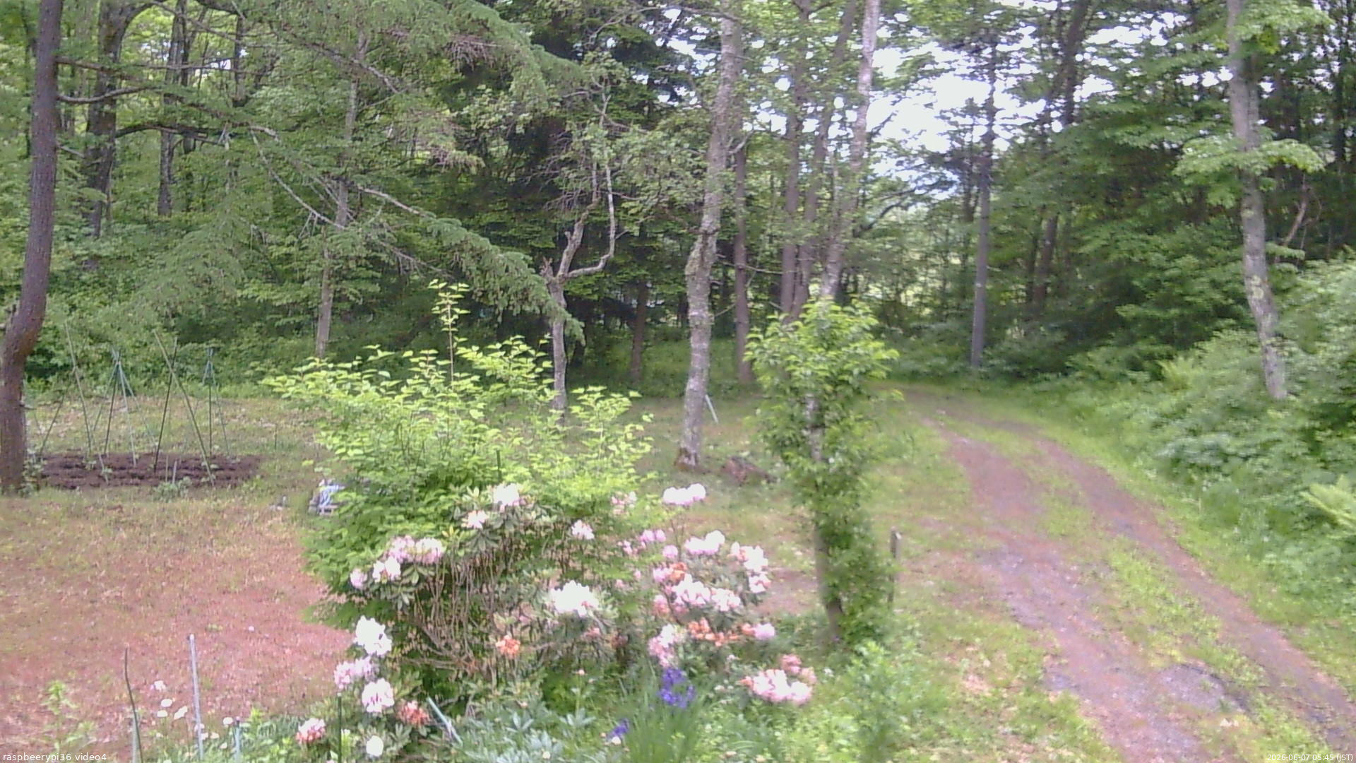 長野県菅平高原 ゆたか山荘 坂上 2026/06/07 05:45