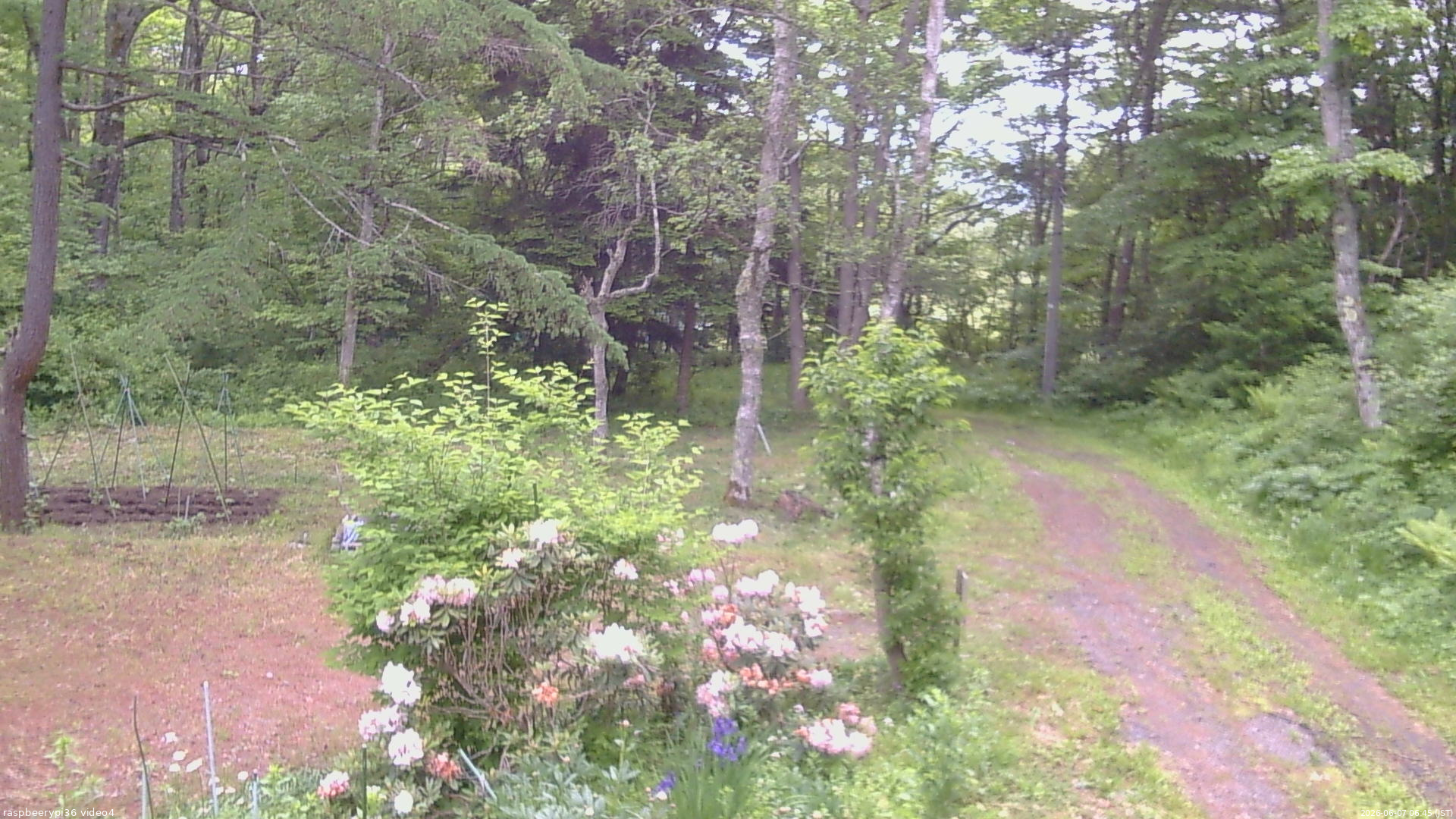 長野県菅平高原 ゆたか山荘 坂上 2026/06/07 06:45