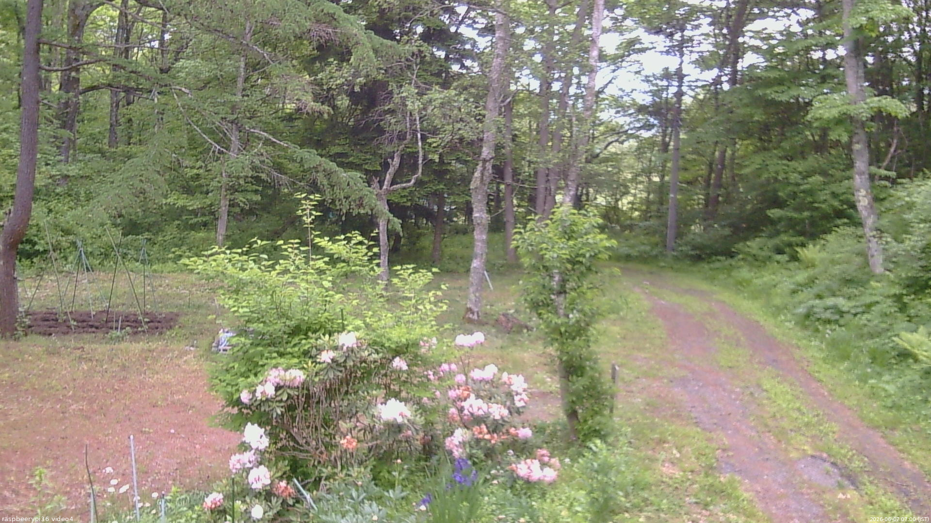 長野県菅平高原 ゆたか山荘 坂上 2026/06/07 07:00