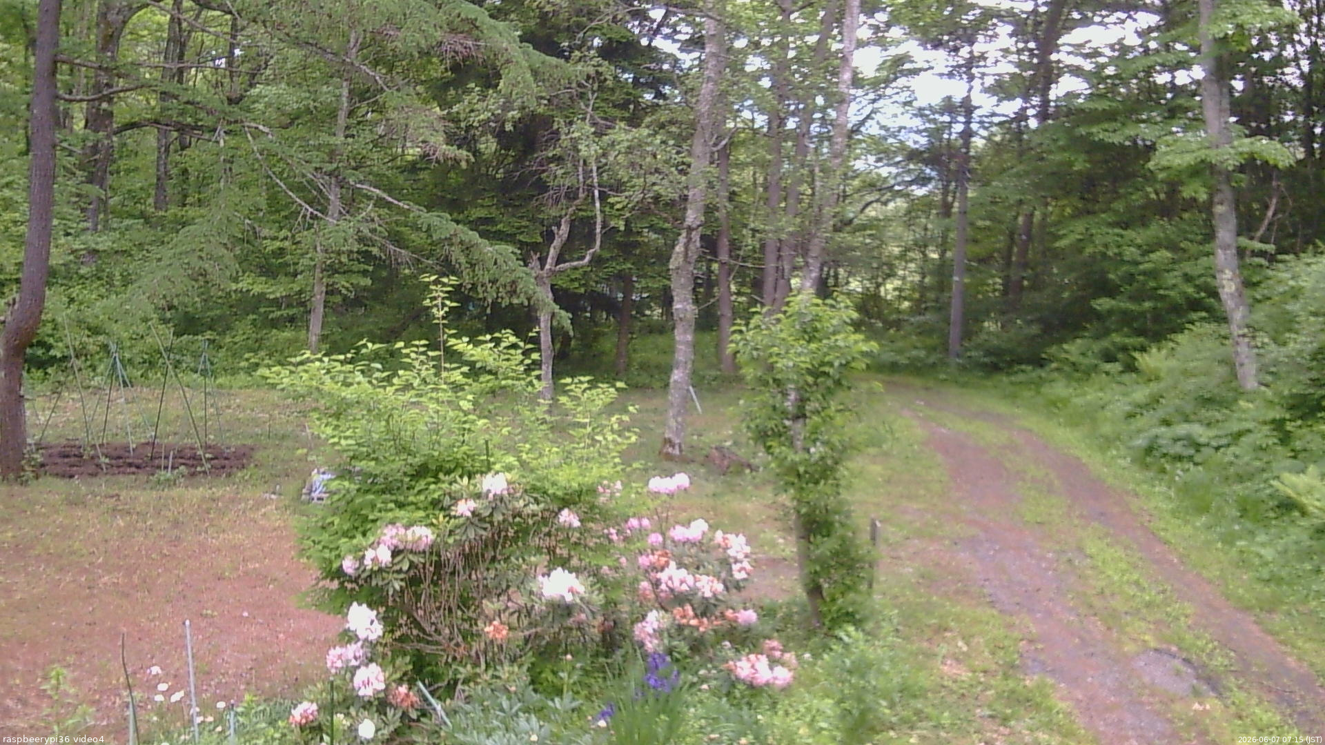 長野県菅平高原 ゆたか山荘 坂上 2026/06/07 07:15