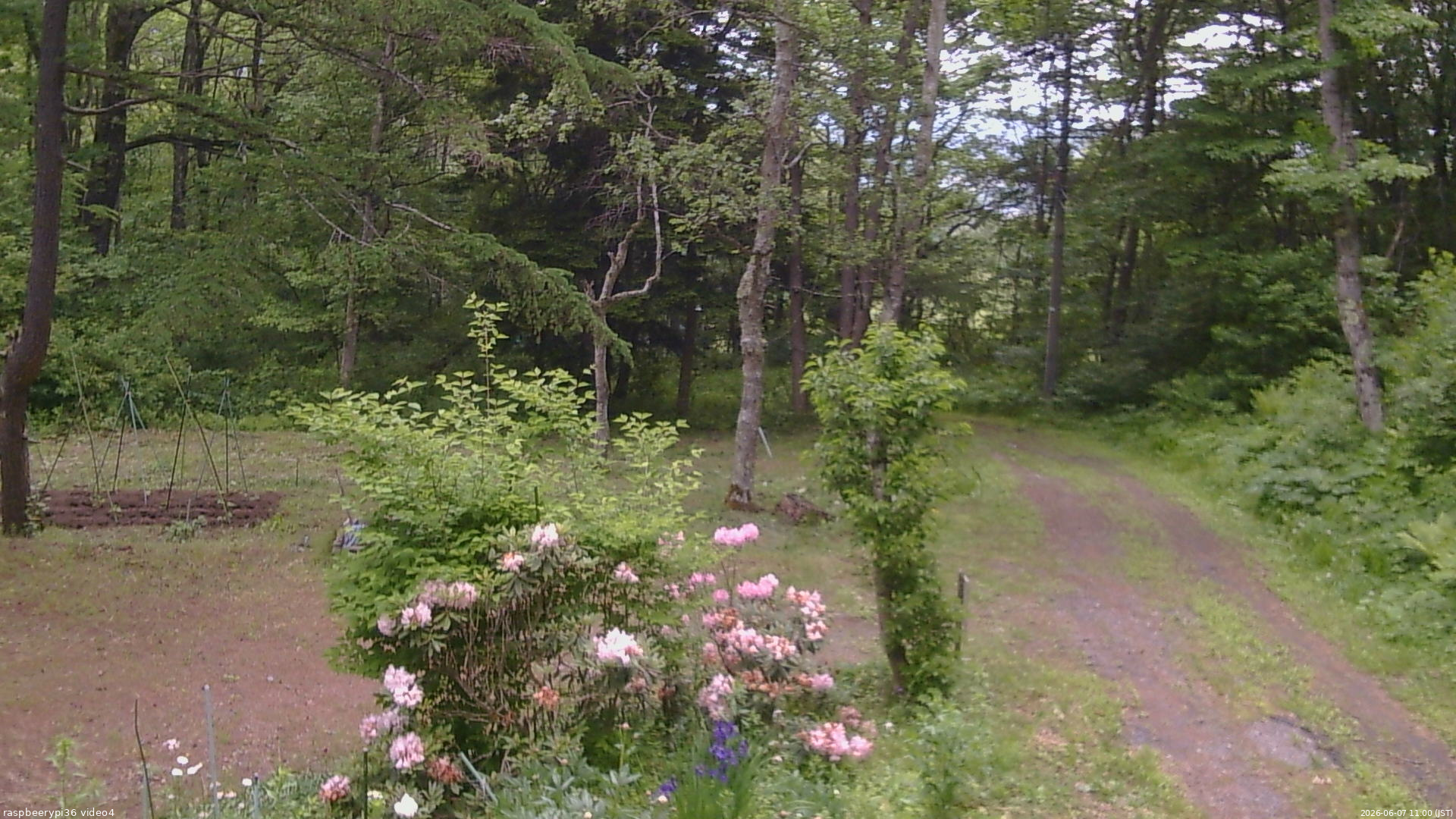 長野県菅平高原 ゆたか山荘 坂上 2026/06/07 11:00