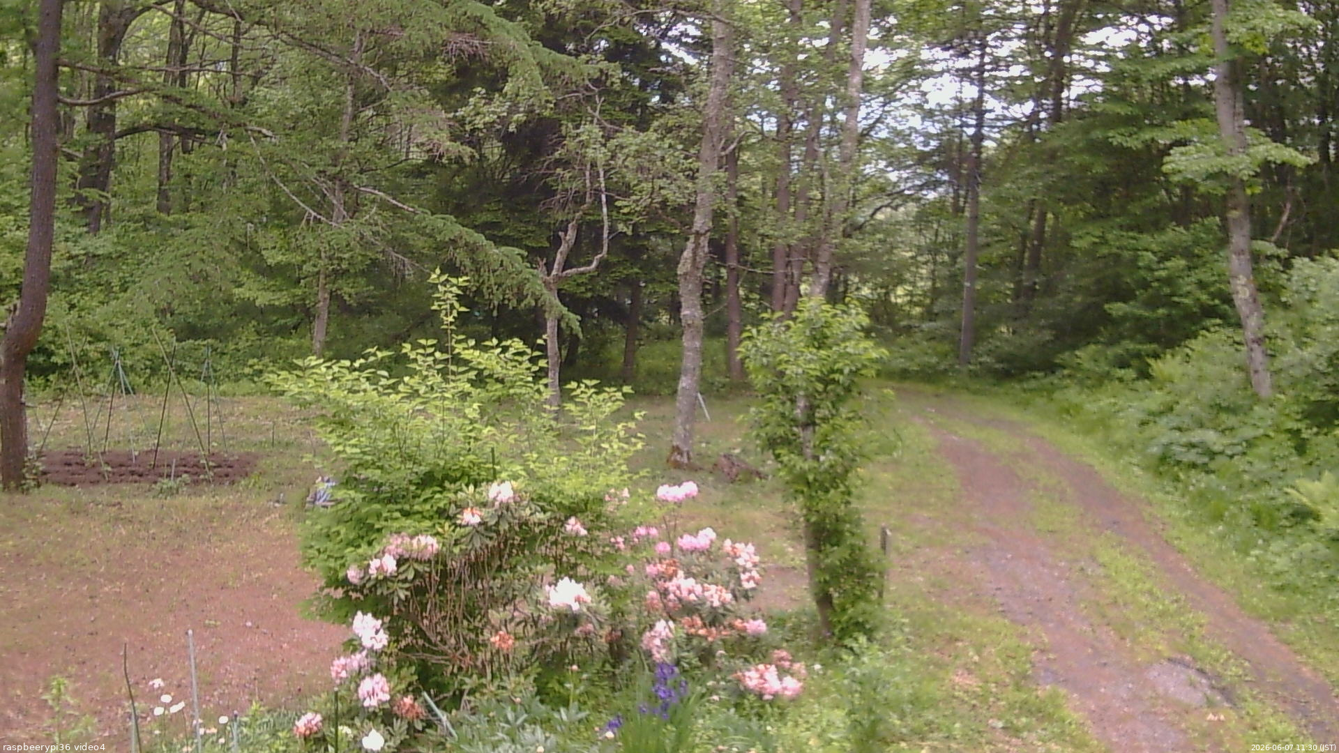 長野県菅平高原 ゆたか山荘 坂上 2026/06/07 11:30