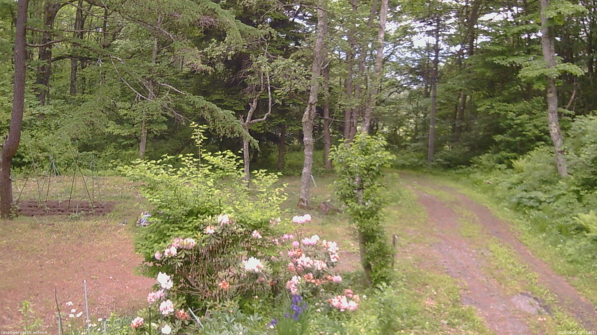 長野県菅平高原 ゆたか山荘 坂上 2026/06/07 12:15