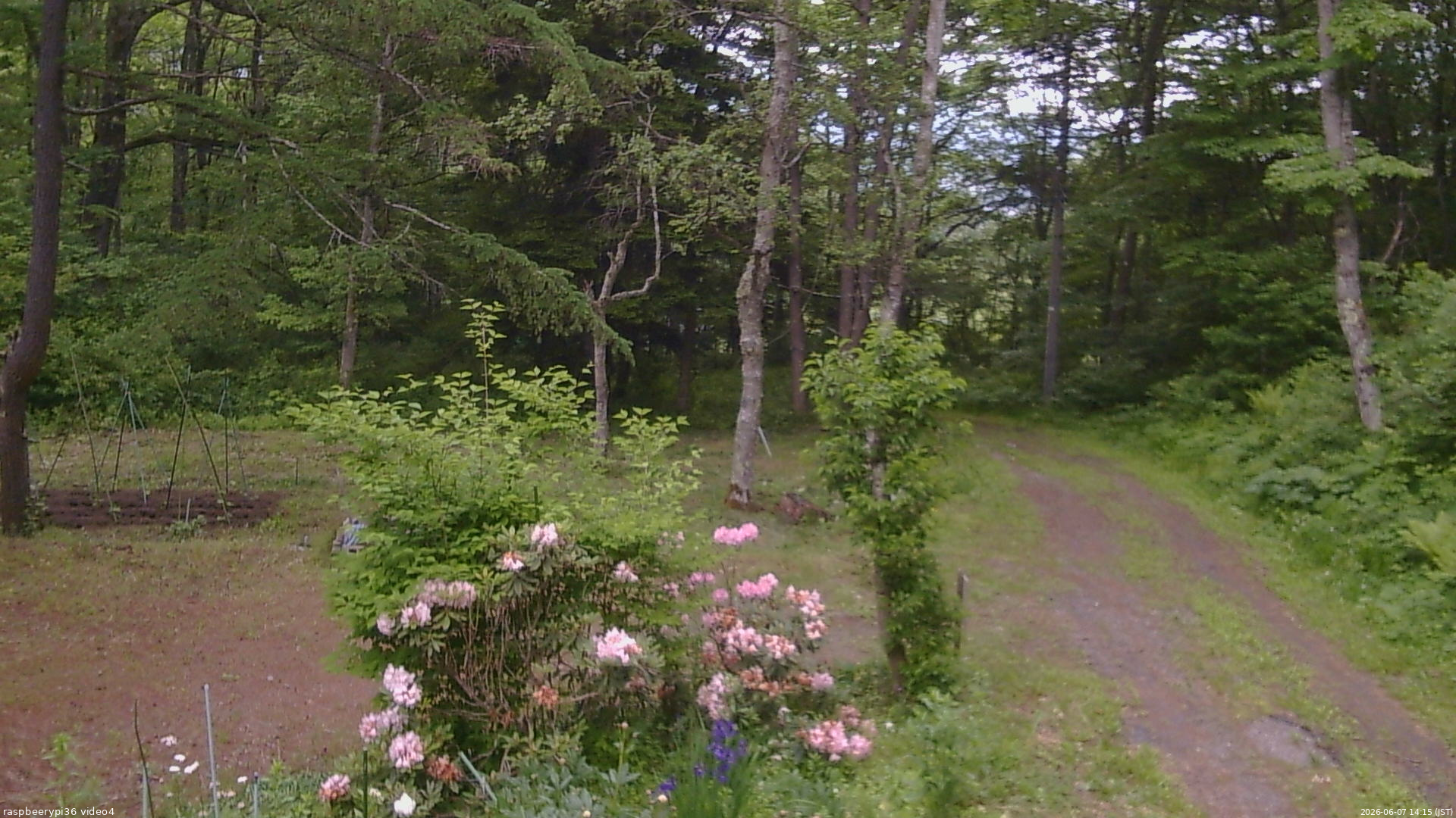 長野県菅平高原 ゆたか山荘 坂上 2026/06/07 14:15