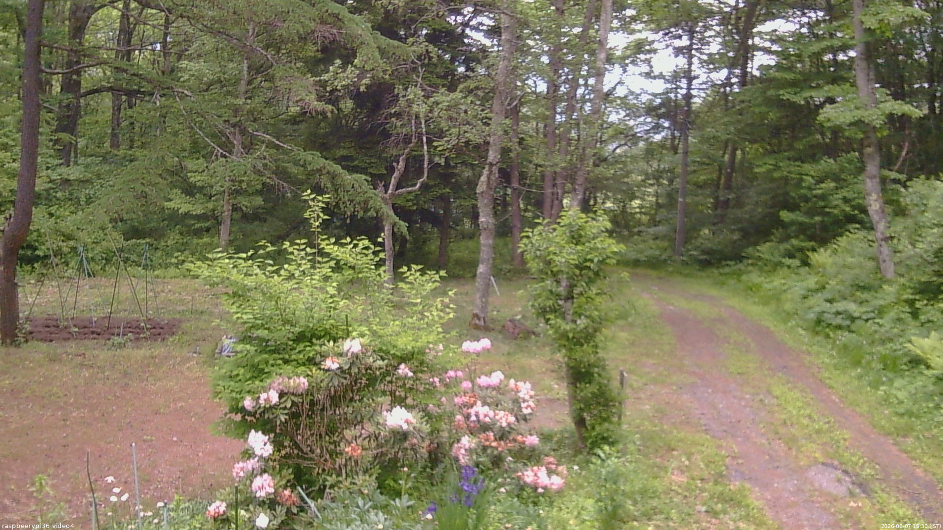 長野県菅平高原 ゆたか山荘 坂上 2026/06/07 15:30