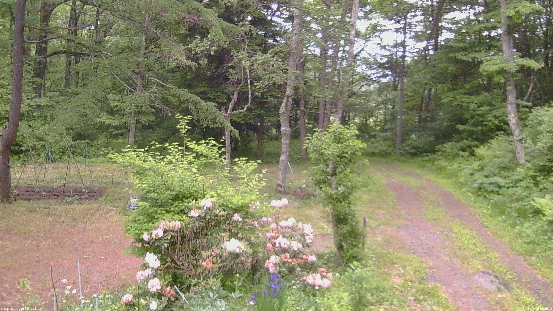 長野県菅平高原 ゆたか山荘 坂上 2026/06/07 16:00