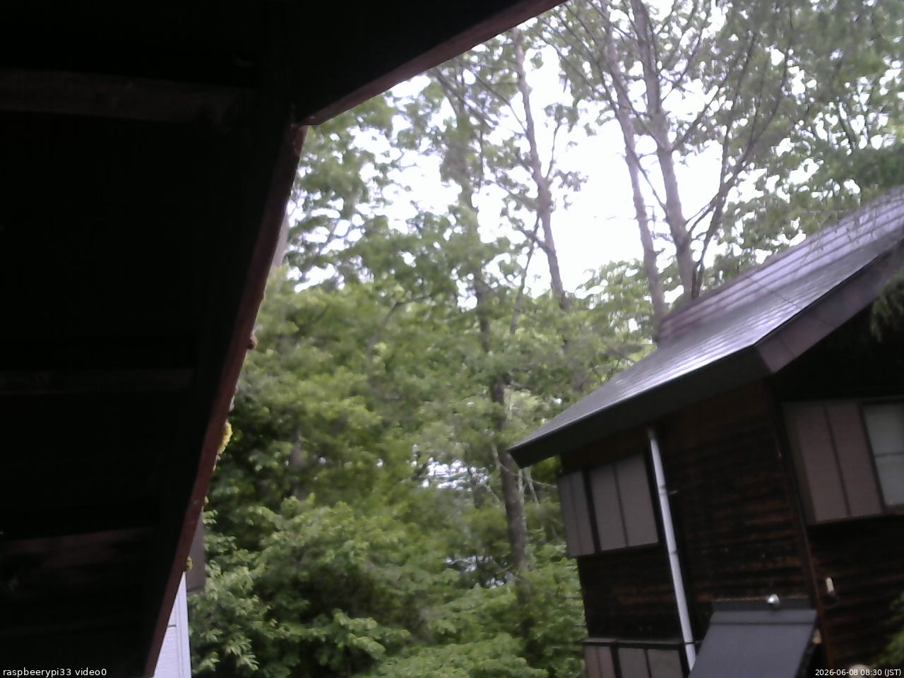 長野県菅平高原 ゆたか山荘 北側 2026/06/08 08:30
