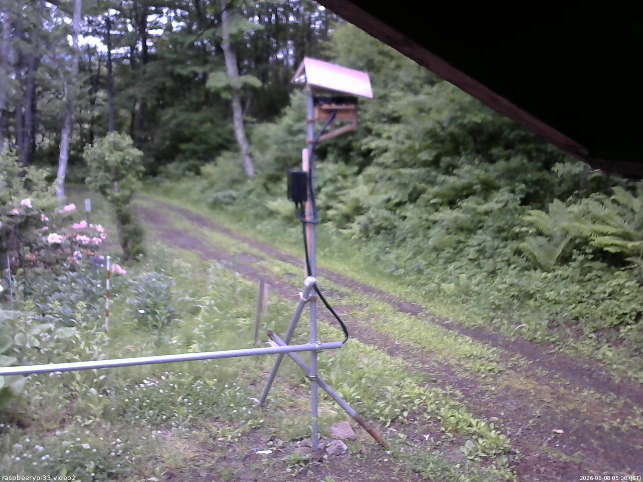 長野県菅平高原 ゆたか山荘 南側 2026/06/08 05:00