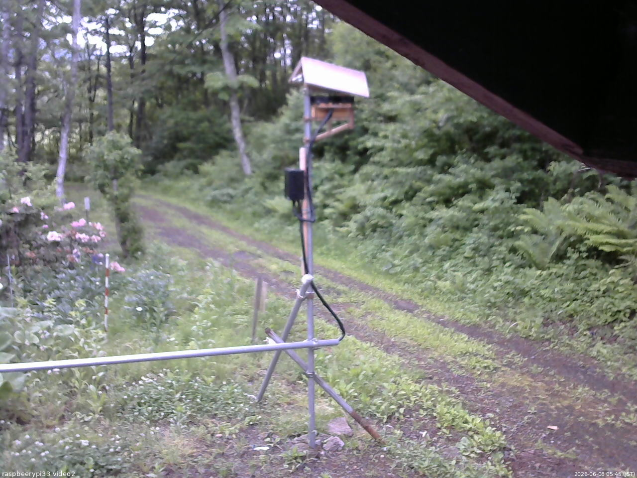 長野県菅平高原 ゆたか山荘 南側 2026/06/08 05:45