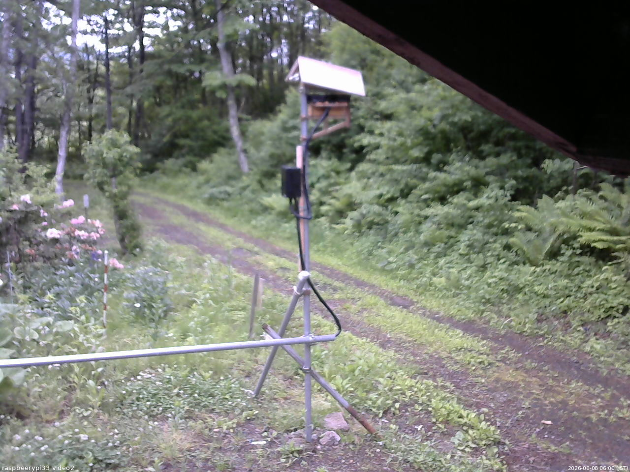 長野県菅平高原 ゆたか山荘 南側 2026/06/08 06:00