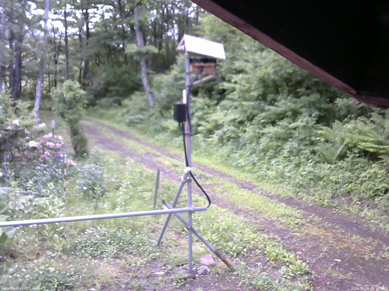 長野県菅平高原 ゆたか山荘 南側 2026/06/08 06:30