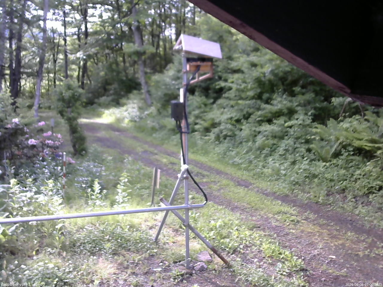 長野県菅平高原 ゆたか山荘 南側 2026/06/08 07:00