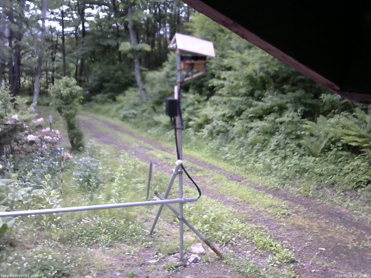 長野県菅平高原 ゆたか山荘 南側 2026/06/08 08:15