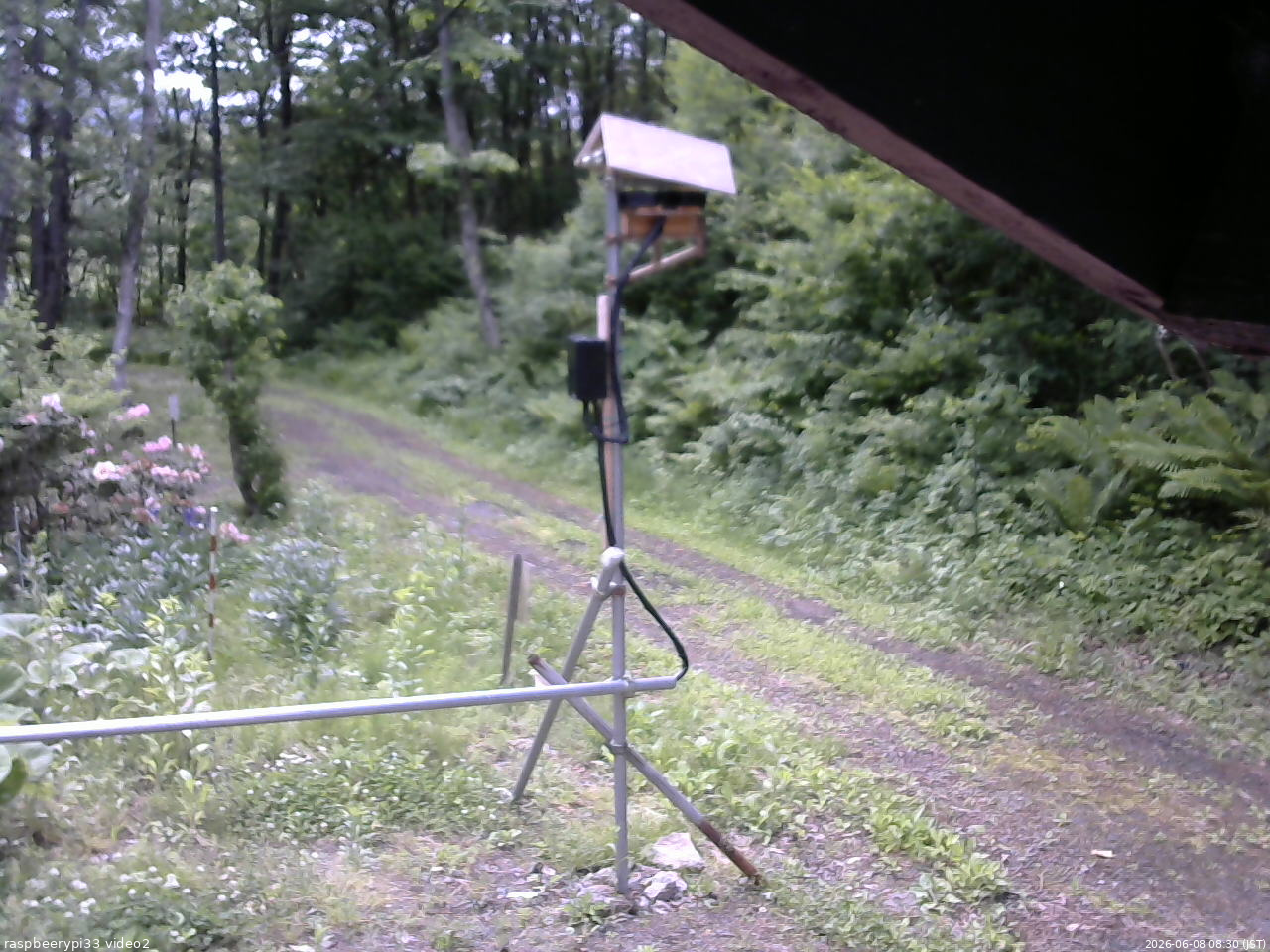 長野県菅平高原 ゆたか山荘 南側 2026/06/08 08:30