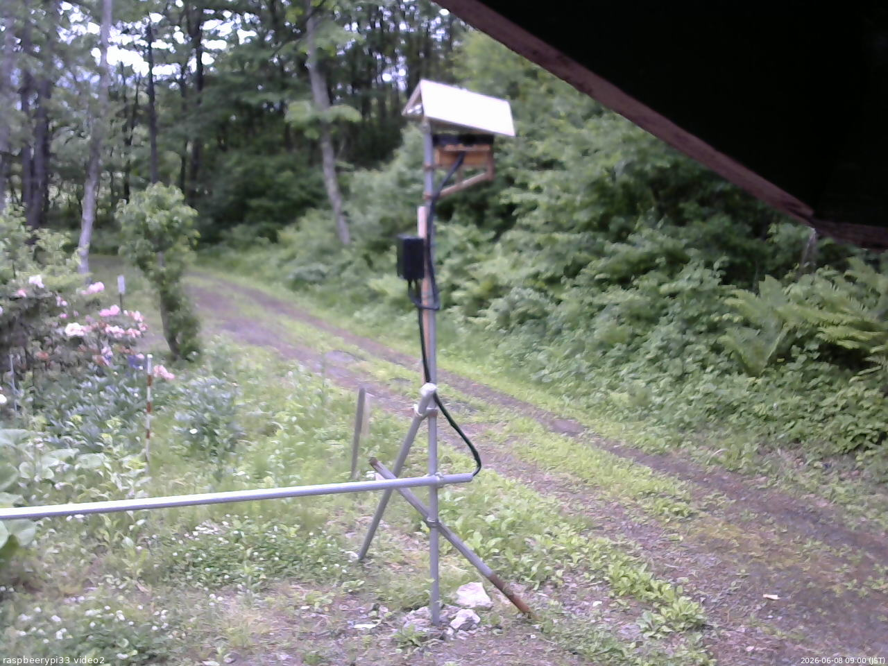 長野県菅平高原 ゆたか山荘 南側 2026/06/08 09:00