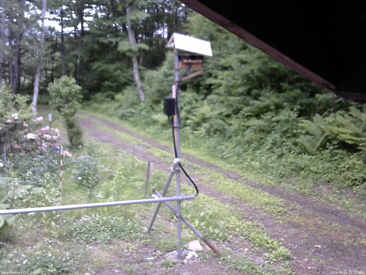 長野県菅平高原 ゆたか山荘 南側 2026/06/08 11:15