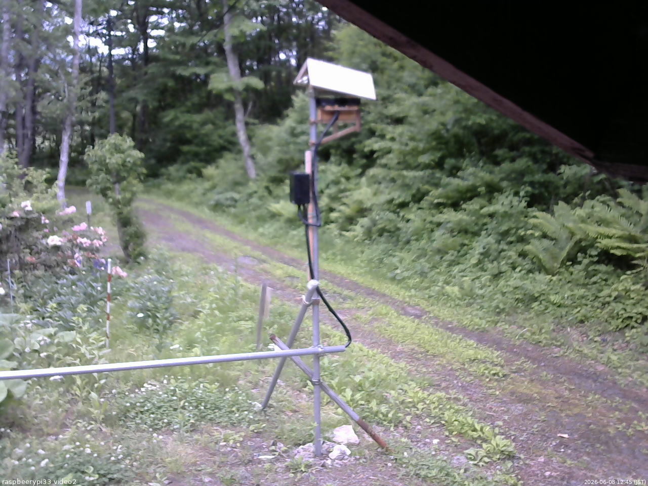 長野県菅平高原 ゆたか山荘 南側 2026/06/08 12:45