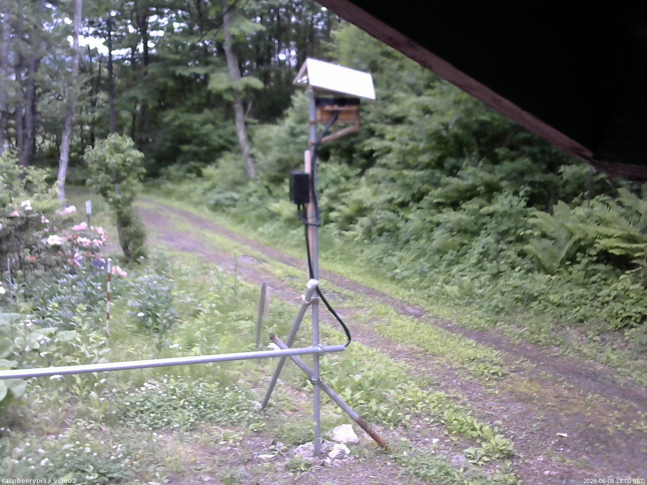 長野県菅平高原 ゆたか山荘 南側 2026/06/08 13:00