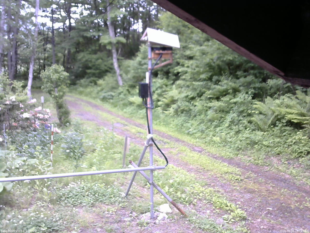 長野県菅平高原 ゆたか山荘 南側 2026/06/08 13:15
