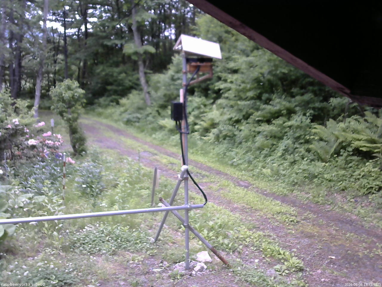 長野県菅平高原 ゆたか山荘 南側 2026/06/08 13:45
