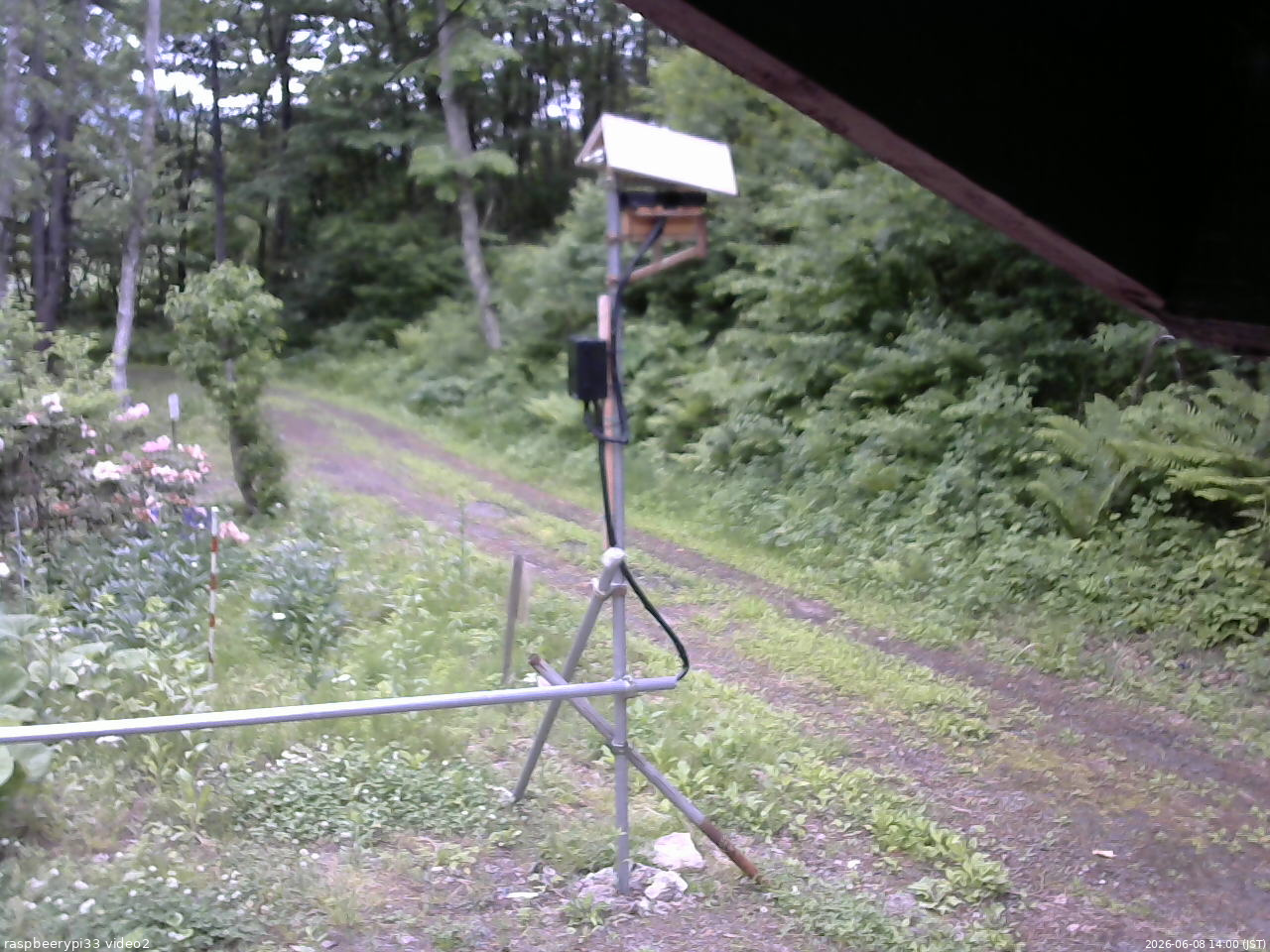 長野県菅平高原 ゆたか山荘 南側 2026/06/08 14:00